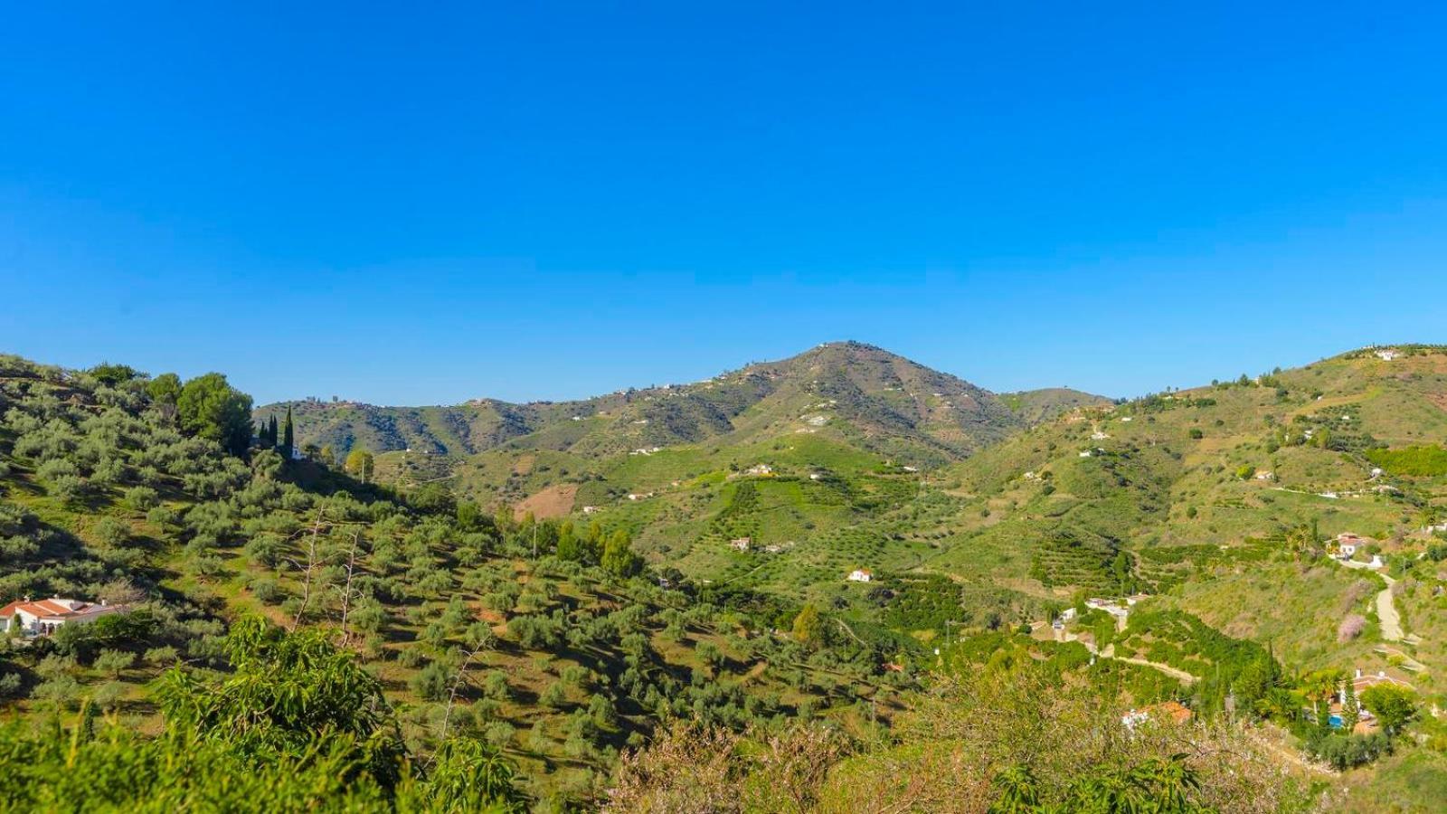 Villa Las Palmeras De Torrox By Ruralidays 외부 사진